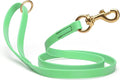Viper Biothane K9 Working Dog Leash Waterproof Lead for Tracking Training Schutzhund Odor-Proof Long Line with Solid Brass Snap for Puppy Medium and Large Dogs 6ft, Sea Foam Green