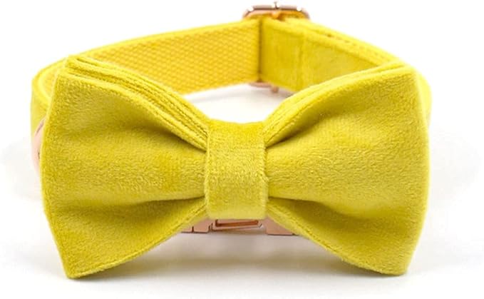 PETDURO Custom Dog Collar Personalized with Name Engraved Quick Release Rose Gold Metal Buckle for Large Medium Small Girl Dogs - Dog Leash and Bow Tie Available - Soft Comfy Velvet (Yellow, S)