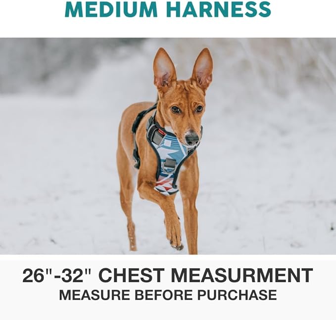 Embark Adventure Dog Harness, Reflective Trim No Pull Dog Harness Medium Sized Dogs - Military Grade Nylon, Front Clip with Gel Lined Handle.