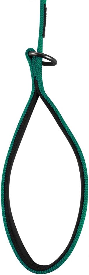 Hyhug Nylon Adjustable 4-6ft Dog Leash with Soft Neoprene Padded Handle, Durable Heavy Duty Leash with Easy-to-Use Bolt Snap, Ideal for Jogging Outdoor