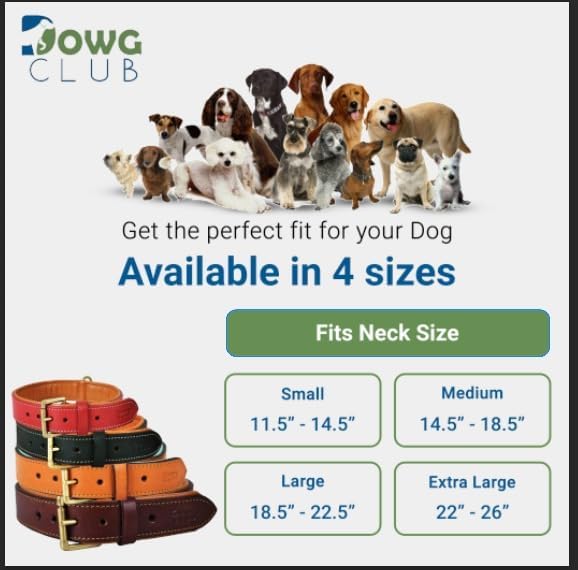 Leather Dog Collar | Leather Collar for Small Dogs, .75 Inch Wide Dog Collar Black | Genuine, Full Grain, Heavy Duty, Comfortable, Inner Padding (Small (Fit Neck Size 11.5"-14.5"), Black)