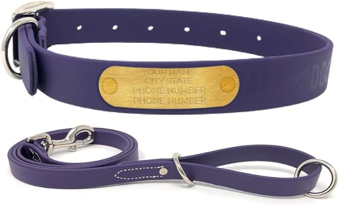 Regal Dog Products Large Purple with Custom Engraved Waterproof Dog Collar and Leash Set | Waterproof Dog Collar with Double Buckle & D Ring - 5'ft Leash | Matching Dog Collar and Leash for Dogs