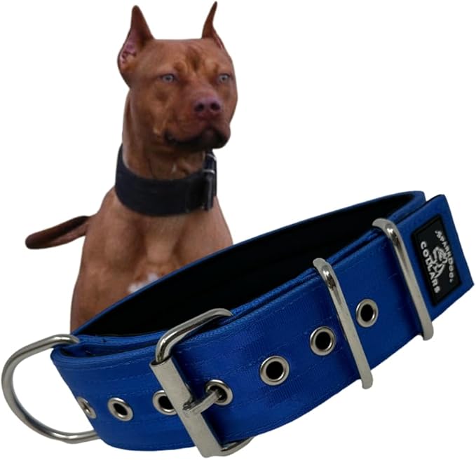 SparkDog Collars Padded Working Dog Collar - 2" 4ply Padded Dog Collar Heavy Duty Stainless Steel Tactical Seatbelt Wide Buckle Collar (Blue 2.0, 16-21" Large)