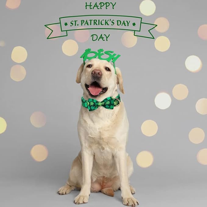 ARING PET St. Patrick's Day Dog Collar with Bow, Cute Adjustable Plaid Clovers Bowtie Pet Collars with Metal Buckle for Puppy Small Medium Large Boy Girl Dogs-M