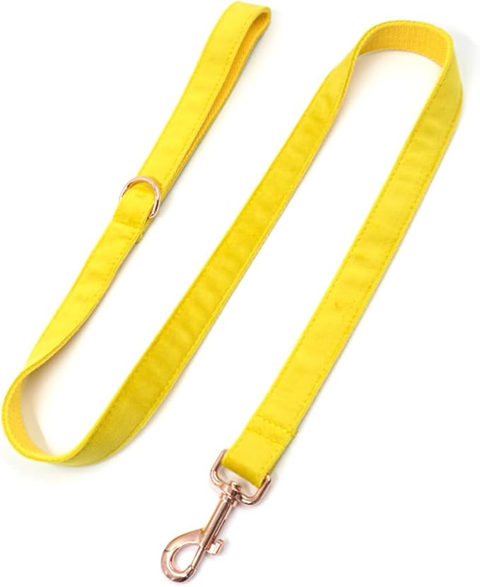 PETDURO Custom Dog Collar Personalized with Name Engraved Quick Release Rose Gold Metal Buckle for Large Medium Small Girl Dogs - Dog Leash and Bow Tie Available - Soft Comfy Velvet (Yellow, M)