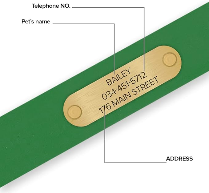 Regal Dog Products Small Light Green with Custom Engraved Waterproof Dog Collar and Leash Set | Waterproof Dog Collar with Double Buckle & D Ring - 5'ft Leash | Matching Dog Collar and Leash for Dogs
