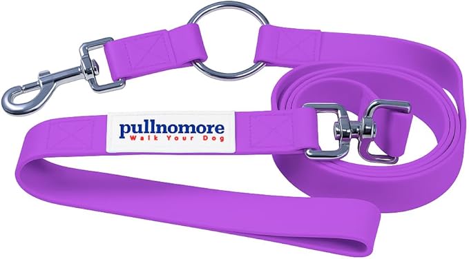 No-Pull Dog Leash, Chew Resistant, Waterproof, Durable PVC Material, Multiple Sizes and Colors (Purple, Large)