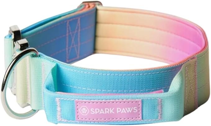Tactical Dog Collar with Handle - Premium Quality Collar, Robust and Durable Design for Large, Strong Breeds - Pitbulls, Labradors, GSD - Pastel Icing - S - 1.5"