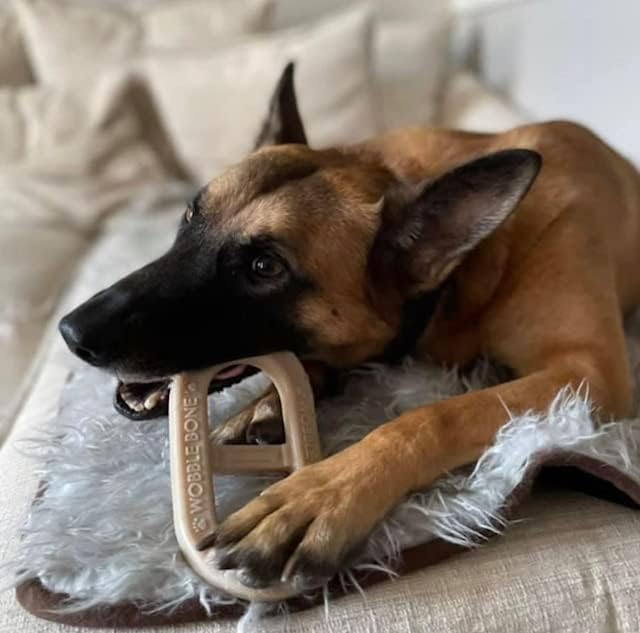Bacon Oval - Delicious & Fun Bacon Dog Chew Toy - Tough Long Lasting Dog Bones Made in USA- Designed for Larger Canines - L/XL - 3.75In X 6.75In