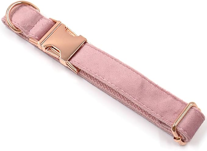 PETDURO Custom Dog Collar Personalized with Name Engraved Rose Gold Metal Buckle for Large Medium Small Girl Dogs - Dog Leash and Bow Tie Available - Soft Comfy Velvet (Champagne Pink RG, XS)