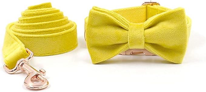 PETDURO Custom Dog Collar Personalized with Name Engraved Quick Release Rose Gold Metal Buckle for Large Medium Small Girl Dogs - Dog Leash and Bow Tie Available - Soft Comfy Velvet (Yellow, S)