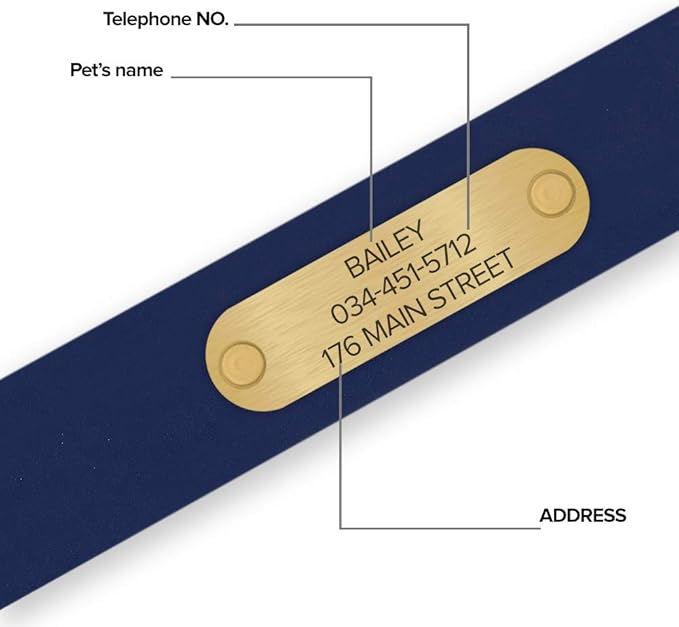 Regal Dog Products Large Blue with Custom Engraved Waterproof Dog Collar and Leash Set | Waterproof Dog Collar with Double Buckle & D Ring - 5'ft Leash | Matching Dog Collar and Leash for Dogs