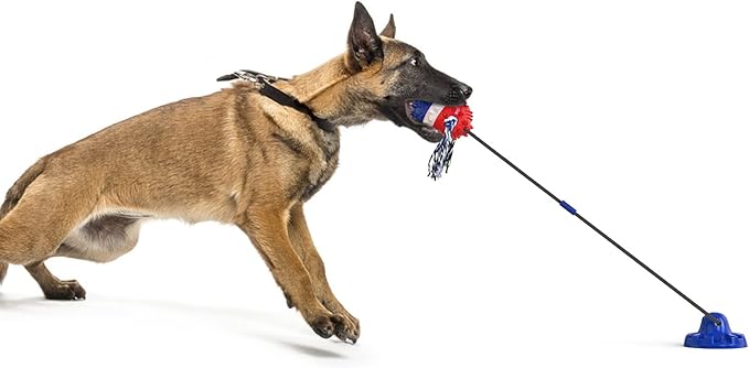 Carllg Dog Toys for Aggressive Chewers Large Breed, Suction Cup Tug of War Pull Toy, Interactive Rope Squeaky Dog Chew Toy Indestructible