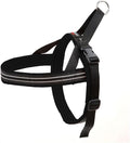 ComfortFlex Sport Dog Harness – No-Choke, Fully Padded, Non-Chafing Harness with Control Handle – Reflective, Lightweight, Adjustable for Active Dogs - Medium/Large, Raven Black