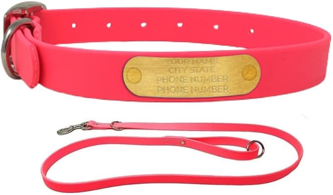 Regal Dog Products Large Pink with Custom Engraved Waterproof Dog Collar and Leash Set | Waterproof Dog Collar with Double Buckle & D Ring - 5'ft Leash | Matching Dog Collar and Leash for Dogs