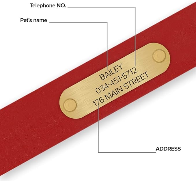Regal Dog Products Medium Red Waterproof Dog Collars with Custom Engraved Name Plate | Vinyl Coated, Anti, Easy to Clean Personalized Biothane Dog Collar - Other Sizes for Small & Large Dogs