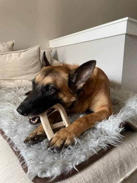 Peanut Butter Oval - Delicious & Fun Dog Peanut Butter Toy - Tough Long Lasting Dog Bones Made in USA- Designed for Larger Canines, 3.75In X 6.75In
