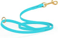 Viper Biothane K9 Working Dog Leash Waterproof Lead for Tracking Training Schutzhund Odor-Proof Long Line with Solid Brass Snap for Puppy Medium and Large Dogs 4ft, Sky Blue