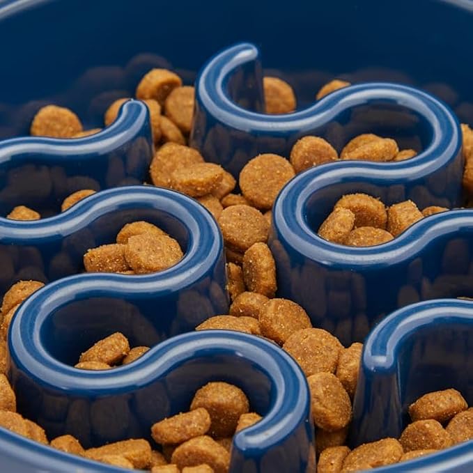 EveryYay by Petco Take it Slow Navy Plastic Slow Feeder Dog Bowl Small