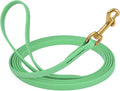 Viper K9 Biothane Working Dog Leash Waterproof Lead for Tracking Training Schutzhund Dog Sport & Search - Odor-Proof Long Line with Solid Brass Snap for Puppy Medium Large 1/2" x 10ft Sea Foam Green