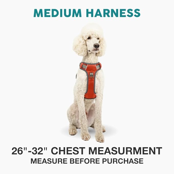 Embark Adventure Dog Harness, Reflective Trim No Pull Dog Harness Medium Sized Dogs - Military Grade Nylon, Front Clip with Gel Lined Handle.