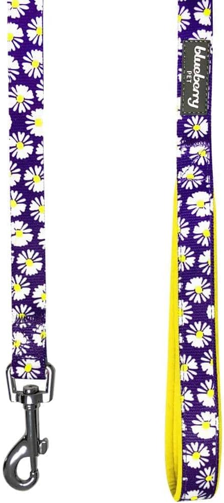 Blueberry Pet 2 Pattern Loving Daisy Prints Dog Leash with Soft & Comfortable Handle, 5 ft x 3/4", Medium, Leashes for Dogs