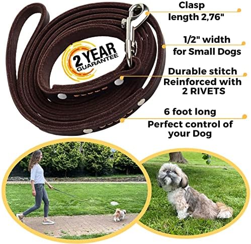 ADITYNA - Premium Leather Dog Leash - 6 ft, Heavy-Duty, Soft & Strong for Small/Medium Dogs - Perfect for Walking, Training, Hiking, and Running (Small: 6 ft x 1/2", Brown)