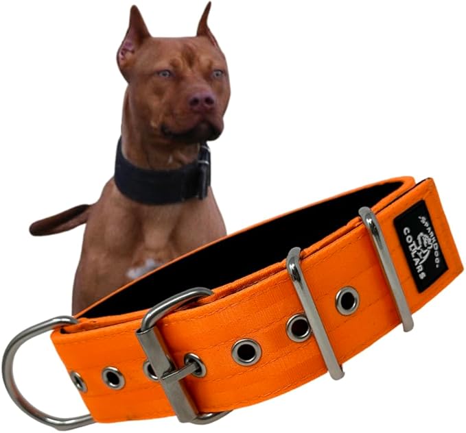 SparkDog Collars Working Dog Collar - 2" 4ply Padded Dog Collar Heavy Duty Stainless Steel Tactical Seatbelt Wide Buckle Collar (Orange 2.0, 16-21" Large)
