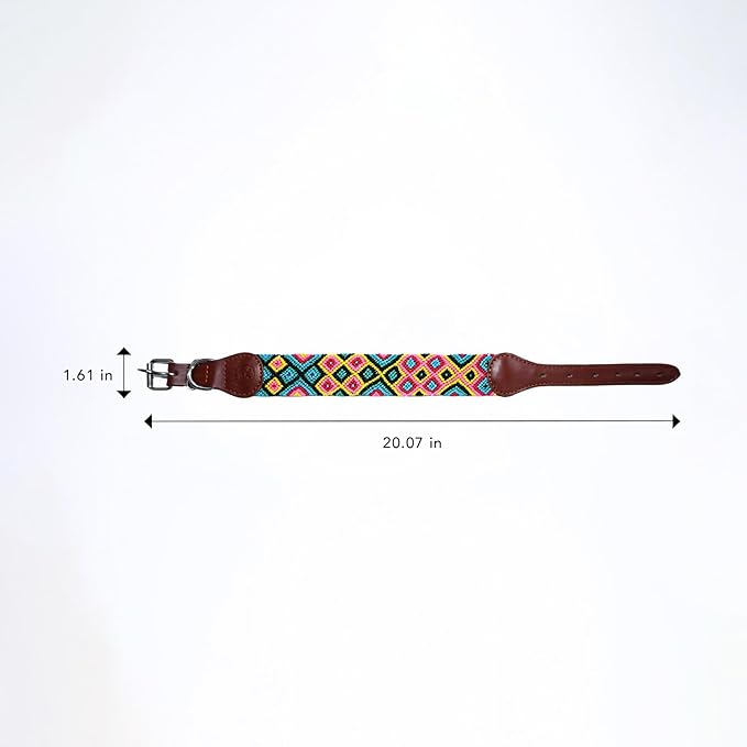Eternia Premium Leather Dog Collar - Adjustable Handcrafted Collar for Small to Large Dogs (Green/Red, M)