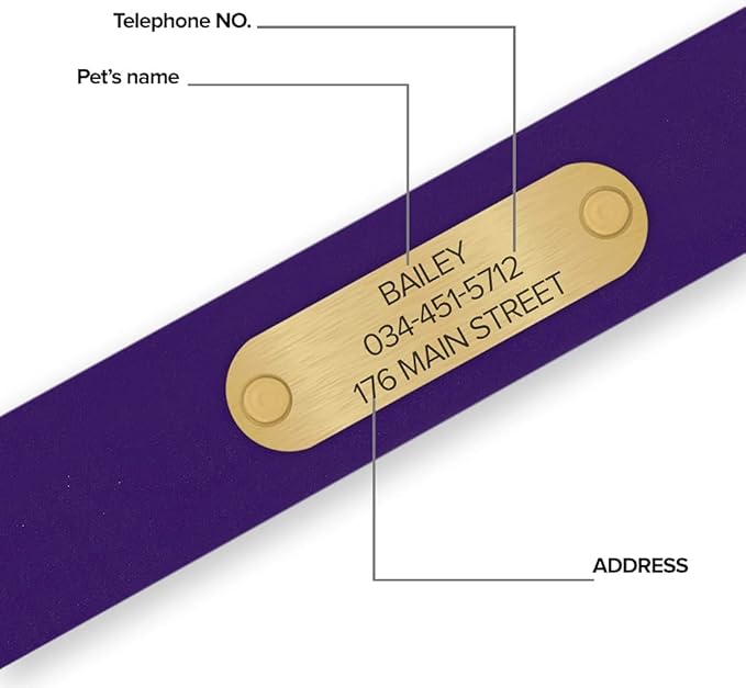 Regal Dog Products Medium Purple Waterproof Dog Collars with Custom Engraved Name Plate | Vinyl Coated, Anti, Easy to Clean Personalized Dog Collar - Other Sizes for Small & Large Dogs