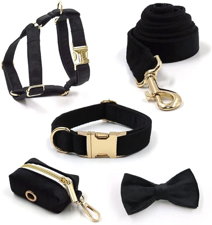 PETDURO Personalized Dog Collar Black Soft Velvet for Large Medium Small Boy Girl Dogs - Custom Collar with Name Phone Engraved on Gold Metal Buckle - Add Matching Leash Bow Set via Customize Now