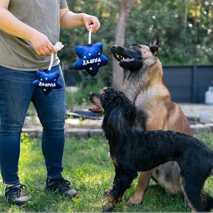 P.L.A.Y. Cute Plush Dog Toy - Birthday Party Celebration Themed Durable Squeaker Chew Toy, for Puppies & Small, Medium, Large Dog - Machine Washable, Recycled Material (Best Day Ever Balloon, X-Small)