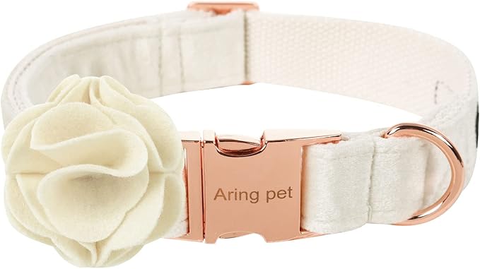 ARING PET Velvet Dog Collars, White Soft Pet Collar with Detachable Felt Flower Metal Buckle for Puppy Small Medium Large Boy Girl Dogs-XL