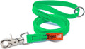 Tiger Tail 4FT Green Premium Coated Nylon Dog Leash for Large Medium & Small Dogs - Waterproof and Odor Proof, Alternative-Leather Lead | Green, 4ft