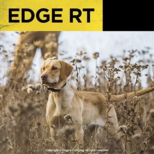 Dogtra Edge RT Additional Receiver Long Range High-Output 1-Mile Waterproof 3-Dog Expandable Remote Dog Training E-Collar with Combination Boost Control for Professionals