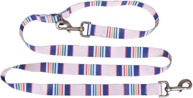 Pendleton Olympic National Park Adventure Leash 1" w