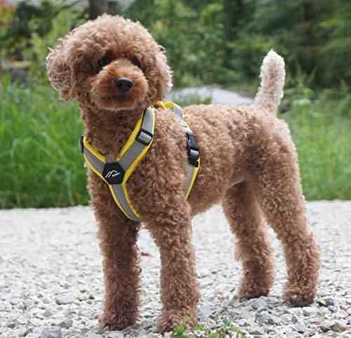 [白山:Hakusan] Zero Dog Harness Basic Type, Safe - No chocking/Hard to Disconnect, Great fit - Easy Put on and Off/Adjustable, Reflector, S - Medium Dog, Two-Tone Yellow x Gray