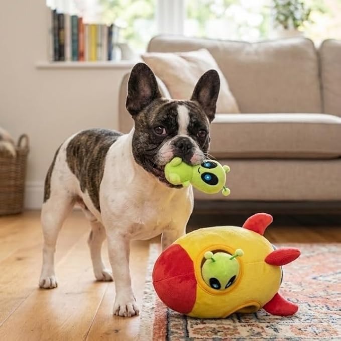 MODERN WAVE - Interactive Squeaky Plush Hide and Seek Squirrel Type Puzzle Toy for Dogs, Small Size (Spaceship and Aliens)
