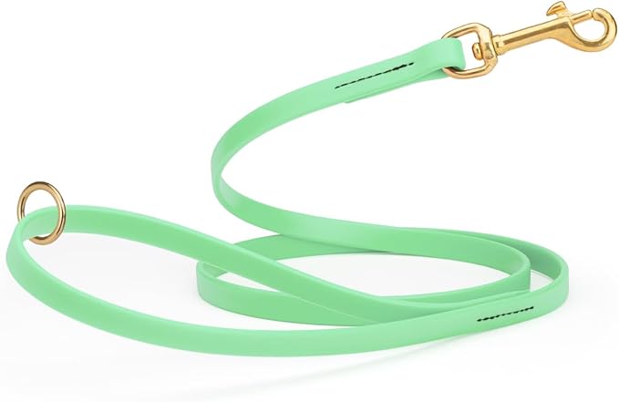 Viper Biothane K9 Working Dog Leash Waterproof Lead for Tracking Training Schutzhund Odor-Proof Long Line with Solid Brass Snap for Puppy Medium and Large Dogs 4ft, Sea Foam Green