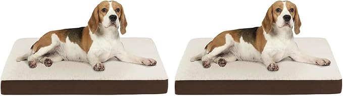 Friends Forever Orthopedic Dog Bed, Cooling Dog Beds with Removable Washable Cover, Reversible Pet Bed Mat with Memory Foam, Washable Removable Cover, Kato Khaki, 30x20x3 (Pack of 2)