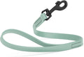 Dogline Biothane Waterproof Dog Leash Strong Coated Nylon Webbing with Black Hardware Odor-Proof Easy to Clean High Performance for Small or Large Dogs Made in USA 2 ft Lead, Sage Green