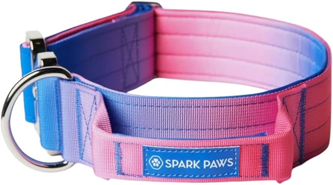 Spark Paws Tactical Dog Collar with Handle - Premium Quality Collar, Robust and Durable Design for Large, Strong Breeds - Pitbulls, Labradors, GSD - Snow Cone - M - 1.5"