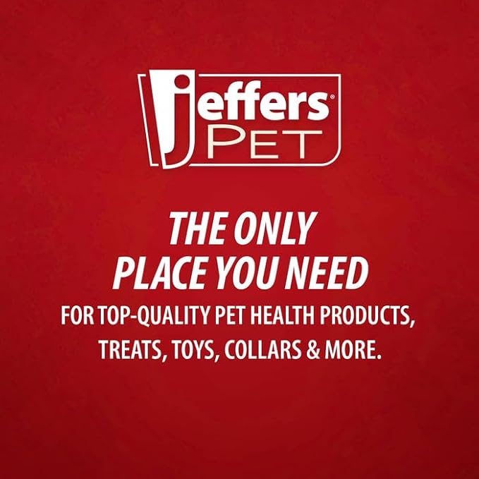 Jeffers Pet Plush Dog Toy with Squeaker, Christmas Snowman 12"- Durable & Safe for Puppies & Dogs, Holiday Stocking Stuffer, Soft Interactive Play, Fetch & Tug Pet Toy, Best Gift for Active Games