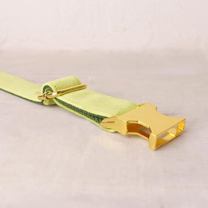 PETDURO Custom Dog Collar Personalized with Name Engraved Quick Release Rose Gold Metal Buckle for Large Medium Small Girl Dogs - Dog Leash and Bow Tie Available - Soft Comfy Velvet (Mint Green, L)