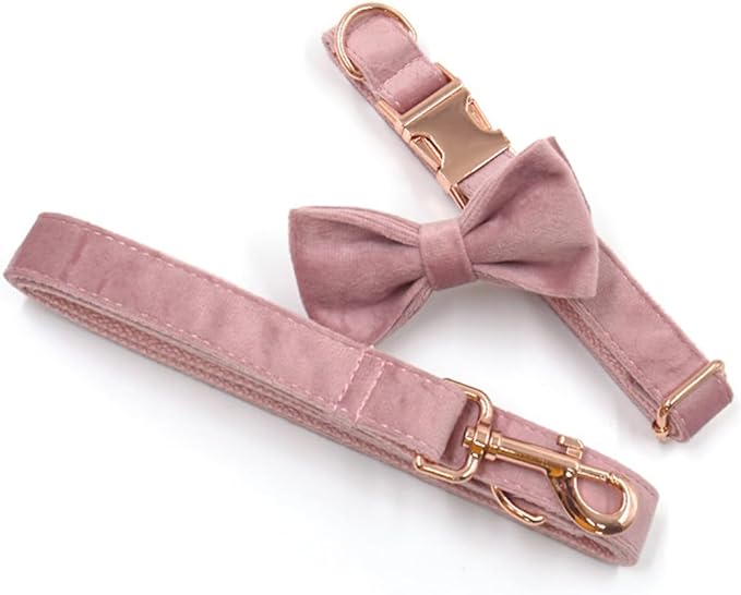 PETDURO Custom Dog Collar Personalized with Name Engraved Rose Gold Metal Buckle for Large Medium Small Girl Dogs - Dog Leash and Bow Tie Available - Soft Comfy Velvet (Champagne Pink RG, XS)