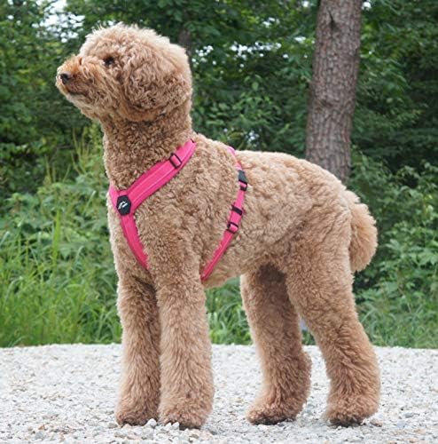 [白山:Hakusan] Zero Dog Harness Basic Type, Safe - No chocking/Hard to Disconnect, Great fit - Easy Put on and Off/Adjustable, Reflector, L - Large Dog, Two-Tone Pink x Pink