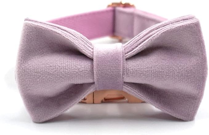 PETDURO Custom Dog Collar Personalized with Name Engraved Quick Release Rose Gold Metal Buckle for Large Medium Small Girl Dogs - Dog Leash and Bow Tie Available - Soft Comfy Velvet (Purple, XS)