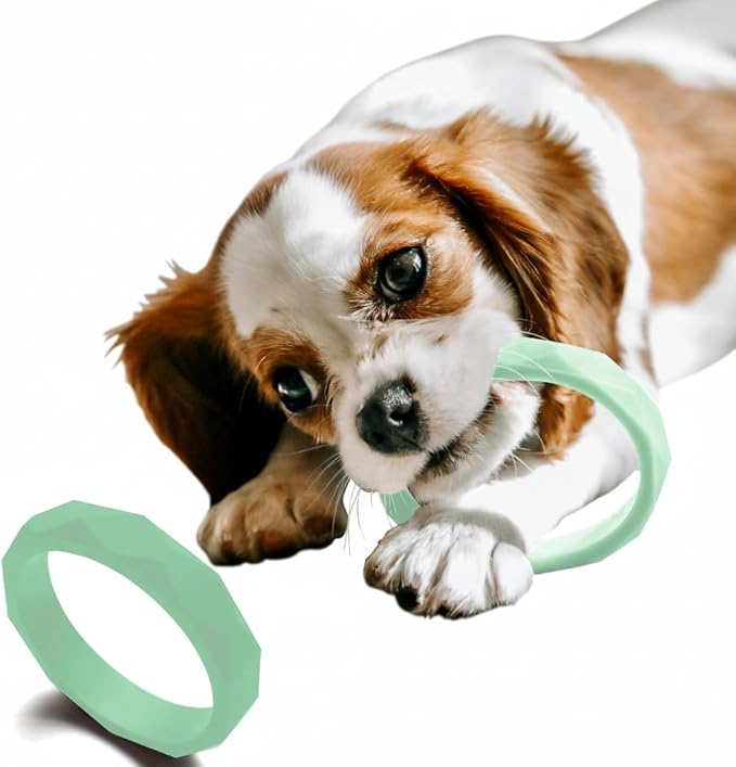 Puppy Teething Rings, Bracelet Food Grade Silicone Chew Toys for Small Dogs and Medium Dog, Puppy Nipping Solution Toys, Chew Toys for Puppies 0-6 Months - Sea Glass