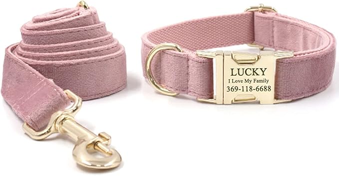 PETDURO Custom Dog Collar Personalized with Name Engraved Gold Metal Buckle for Large Medium Small Girl Dogs - Dog Leash and Bow Tie Available - Soft Comfy Velvet (Champagne Pink, L)