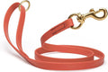 Viper Biothane K9 Working Dog Leash Waterproof Lead for Tracking Training Schutzhund Odor-Proof Long Line with Solid Brass Snap for Puppy Medium and Large Dogs 6ft, Coral
